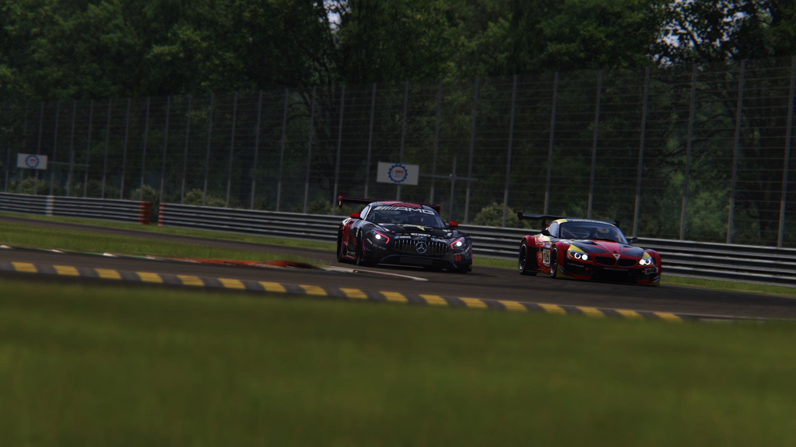 Screenshot_bmw_z4_gt3_monza_4-3-117-21-43-35.jpg