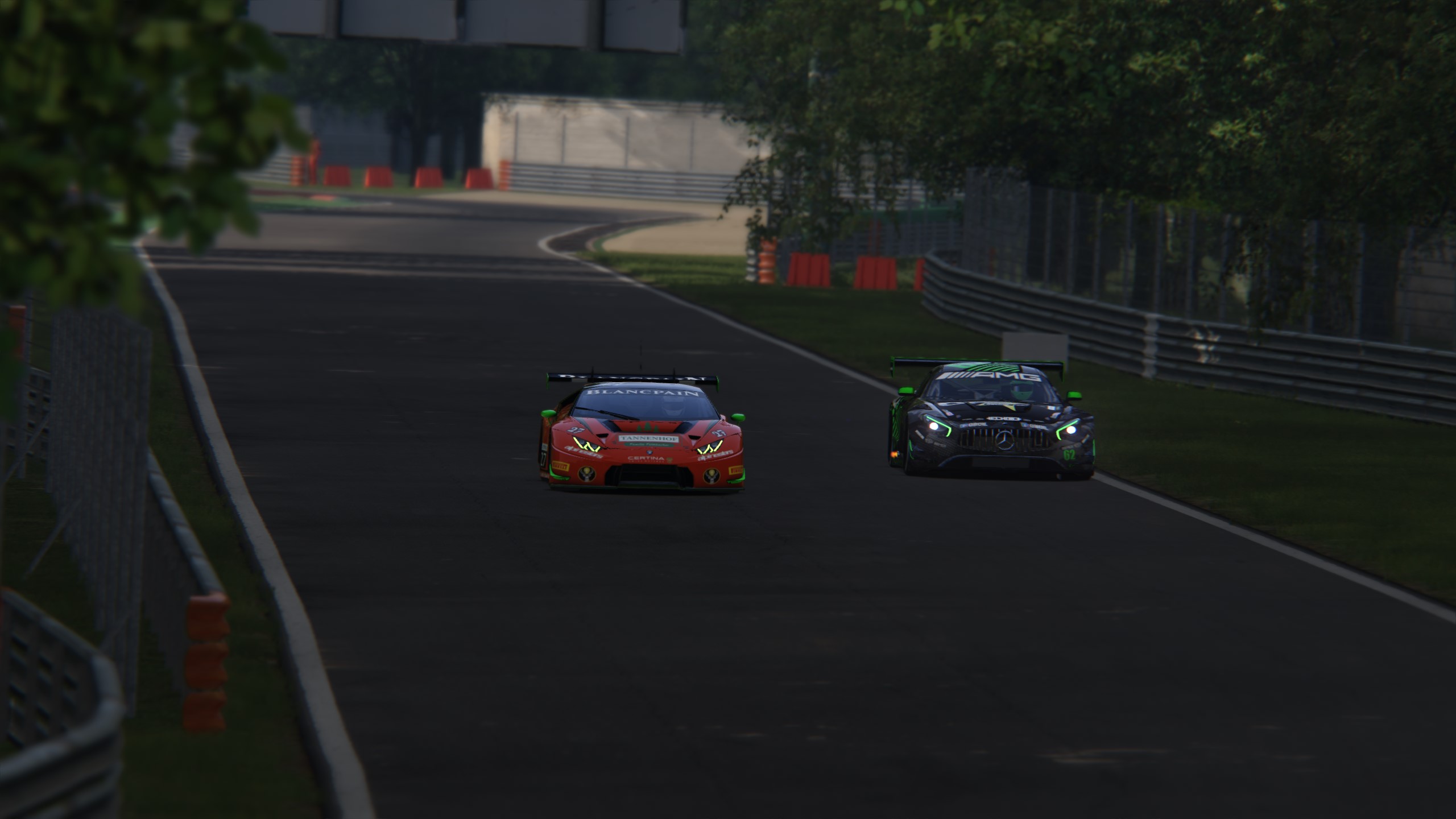 Screenshot_bmw_z4_gt3_monza_4-3-117-21-42-48.jpg